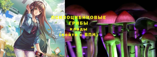дурь Белокуриха