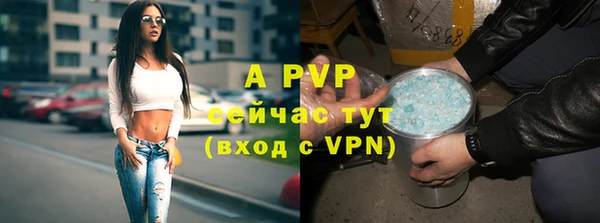 дурь Белокуриха