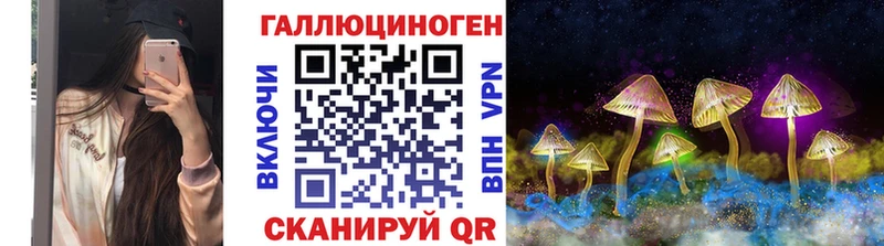 Псилоцибиновые грибы GOLDEN TEACHER  Купить закладки  Анжеро-Судженск 